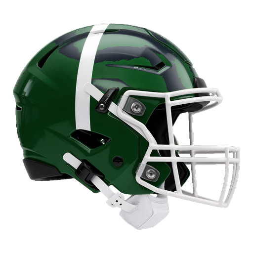 Hughesville helmet