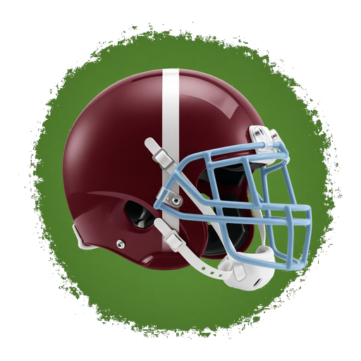 Loyalsock Township helmet